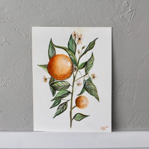 Clementine Watercolor Print