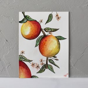 Grapefruit Watercolor Print