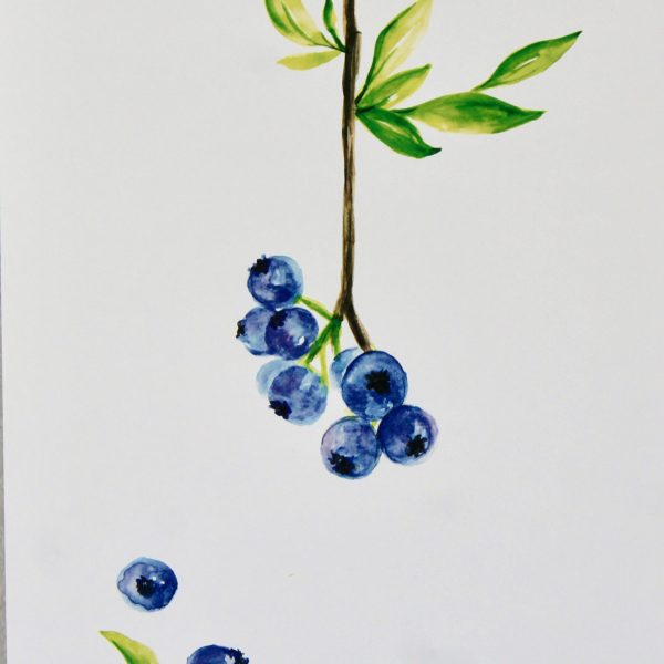 Blueberry Watercolor Print - Image 2
