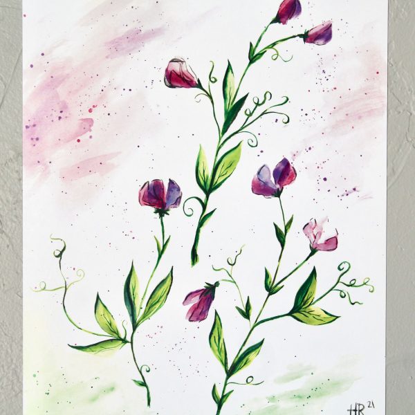Sweet Pea Watercolor Print - Image 2