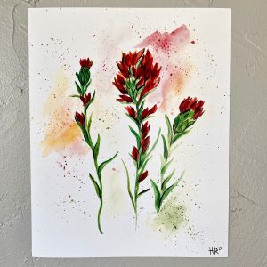 Indian Paintbrush Watercolor Print