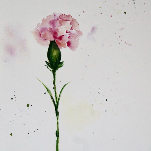 Carnation Watercolor Print - Image 2