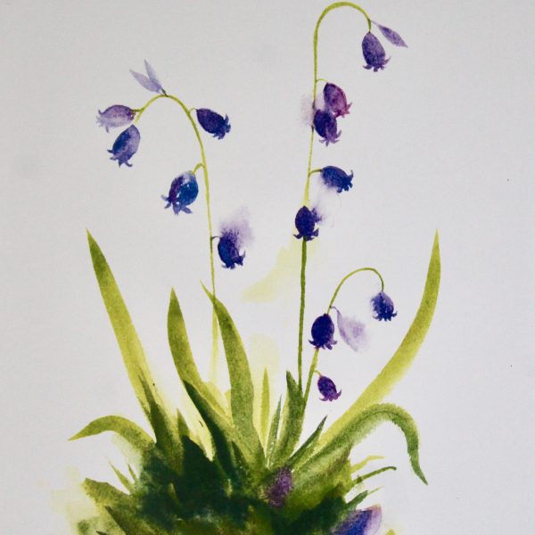 Bluebell Watercolor Print - Image 2