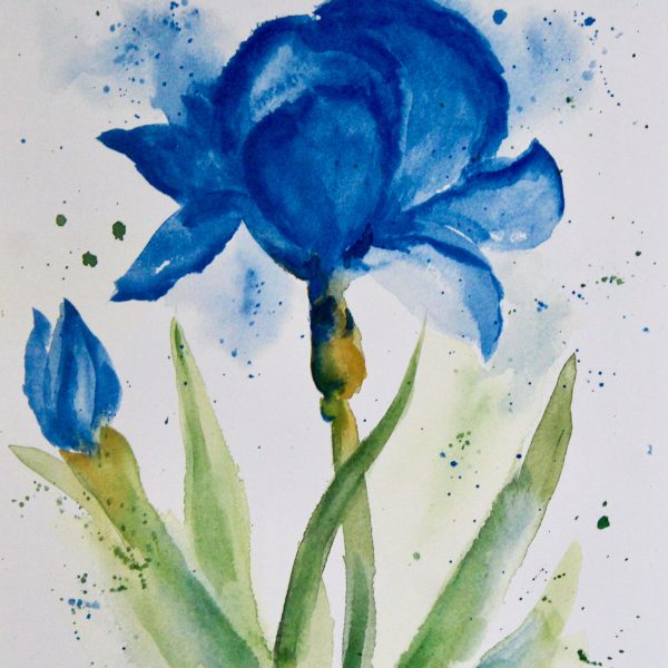 Blue Iris Watercolor Print - Image 2