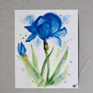 Blue Iris Watercolor Print