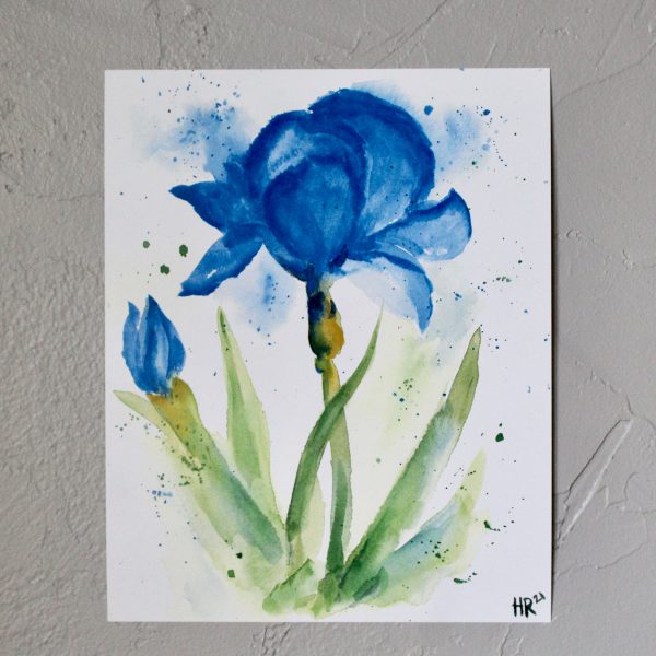 Blue Iris Watercolor Print