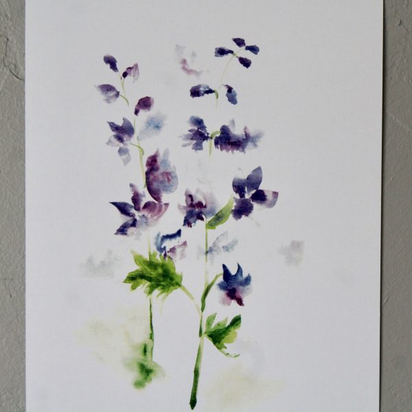 Limited Edition Larkspur Watercolor Print - Image 2