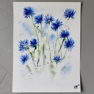 Bachelor's Buttons Watercolor Print