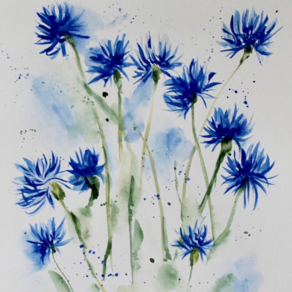 Bachelor's Buttons Watercolor Print - Image 2