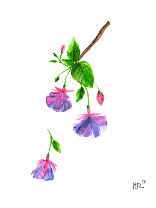 Fuchsia Watercolor Art Print