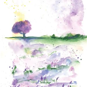 Lavender Fields Watercolor Print