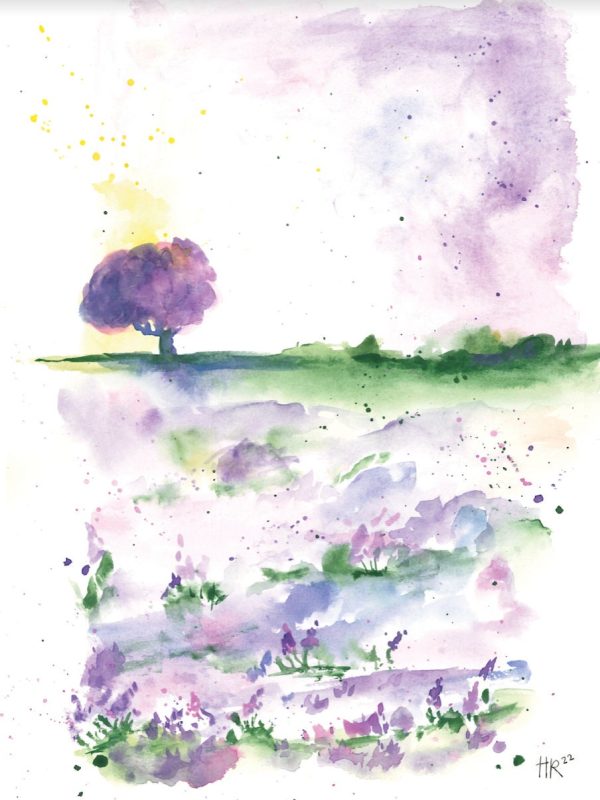 Lavender Fields Watercolor Print