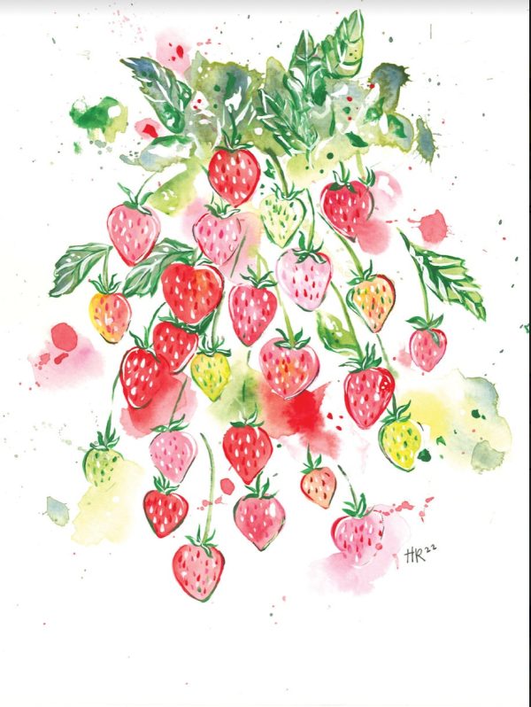 Strawberry Watercolor Print