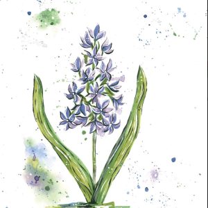 Hyacinth Watercolor Print