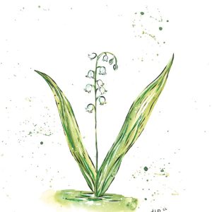 Lily of the Valley Watercolor Print