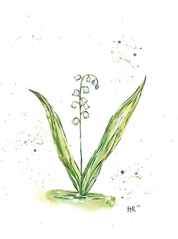 Lily of the Valley Watercolor Print