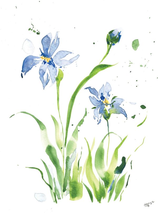 Limited Edition Blue Iris Watercolor Print